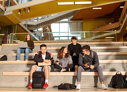 Students studying in the Business School