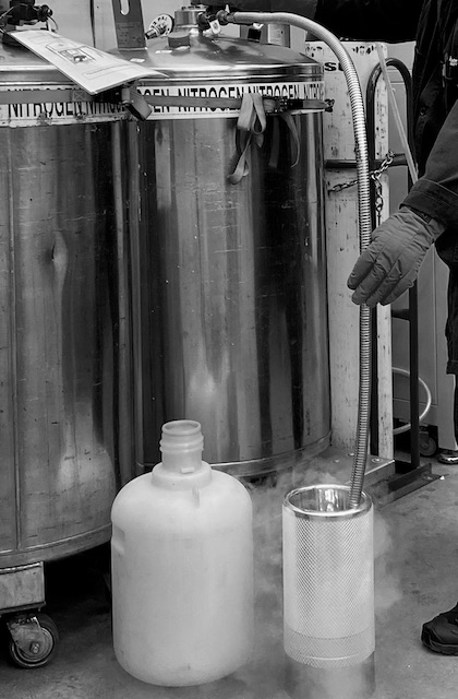 Liquid Nitrogen being dispensed