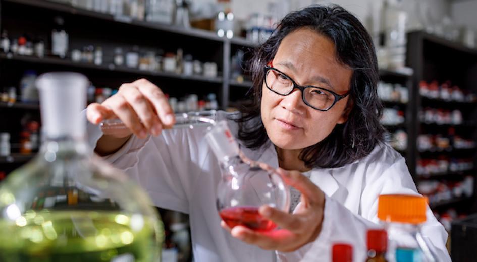 Professional photo of Jane Kelly