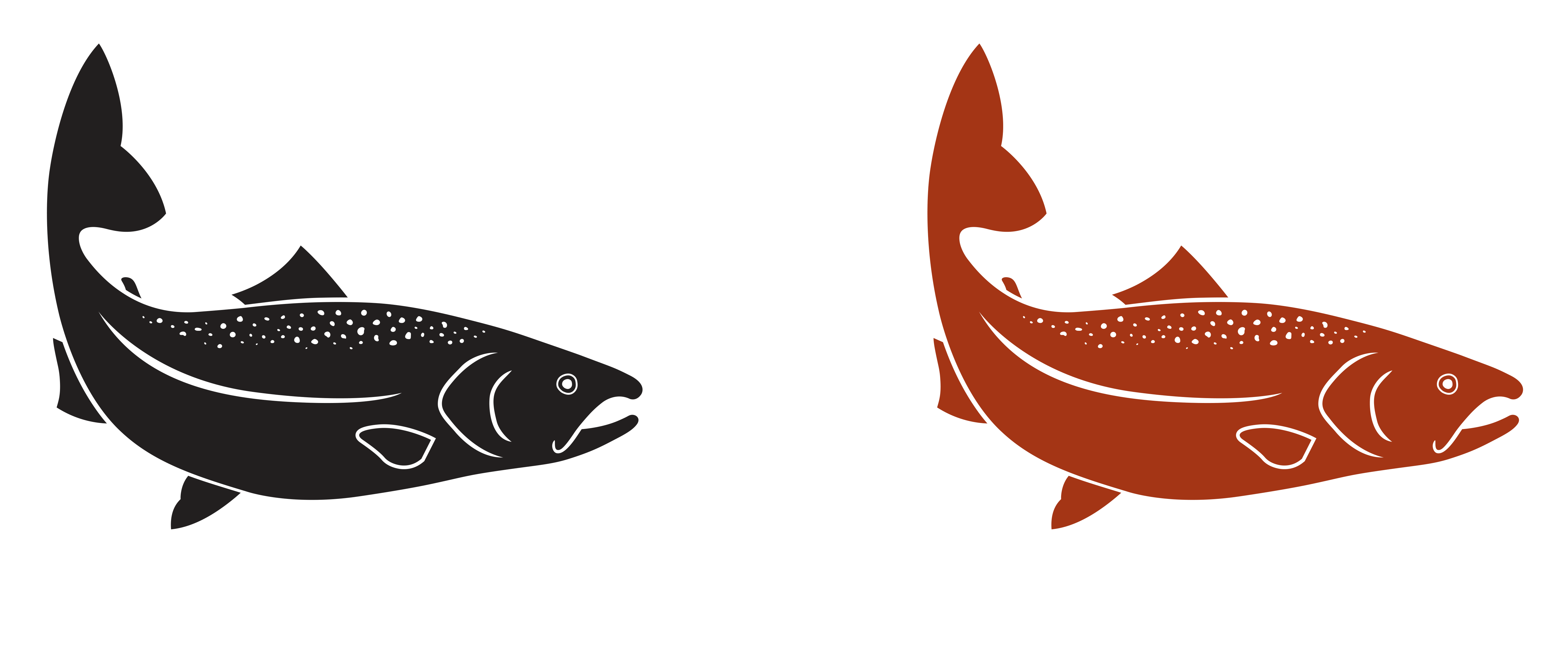 Graphics of two salmon, one black one red
