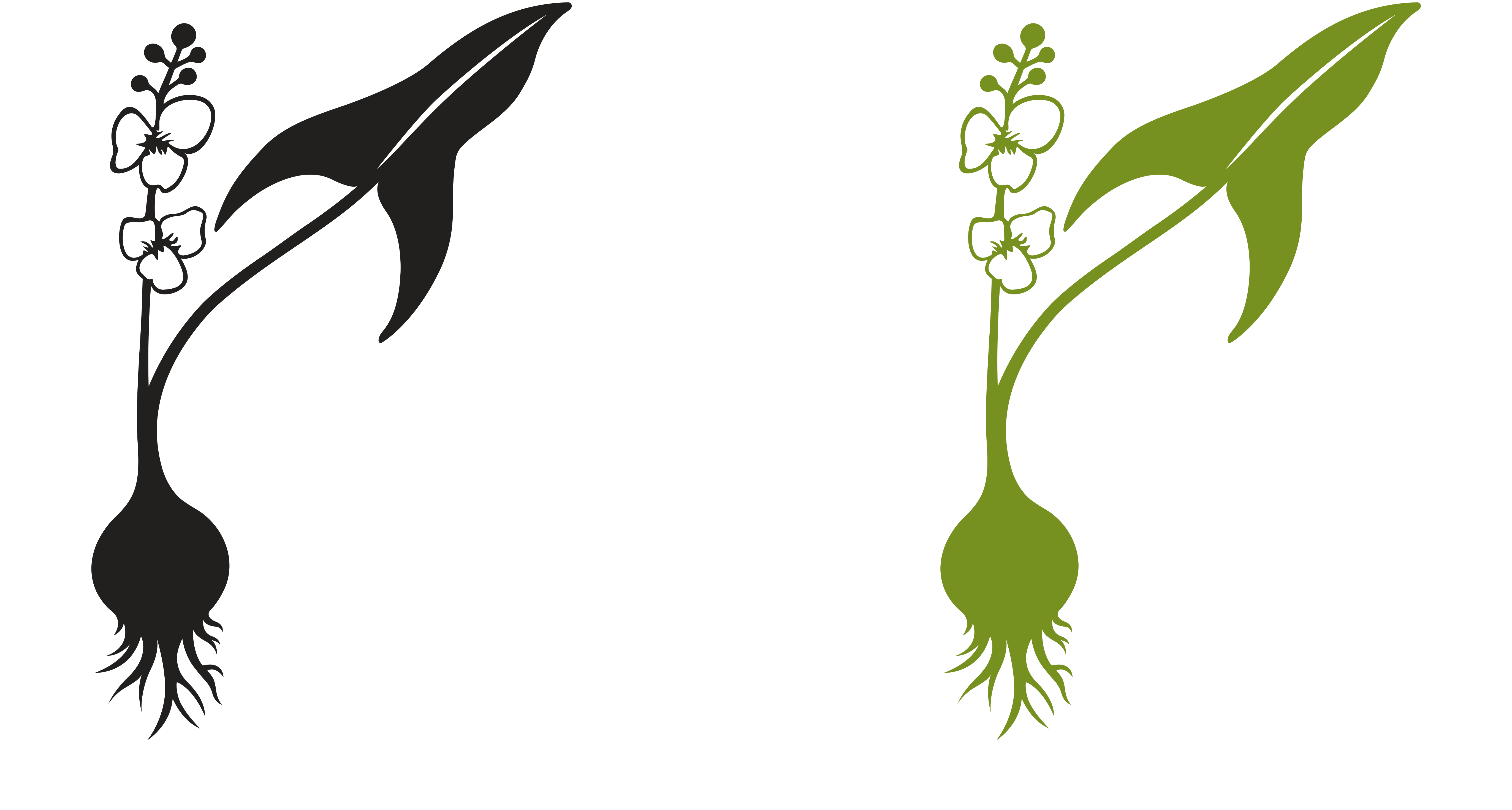 Graphic of two wapatos, one black one gree