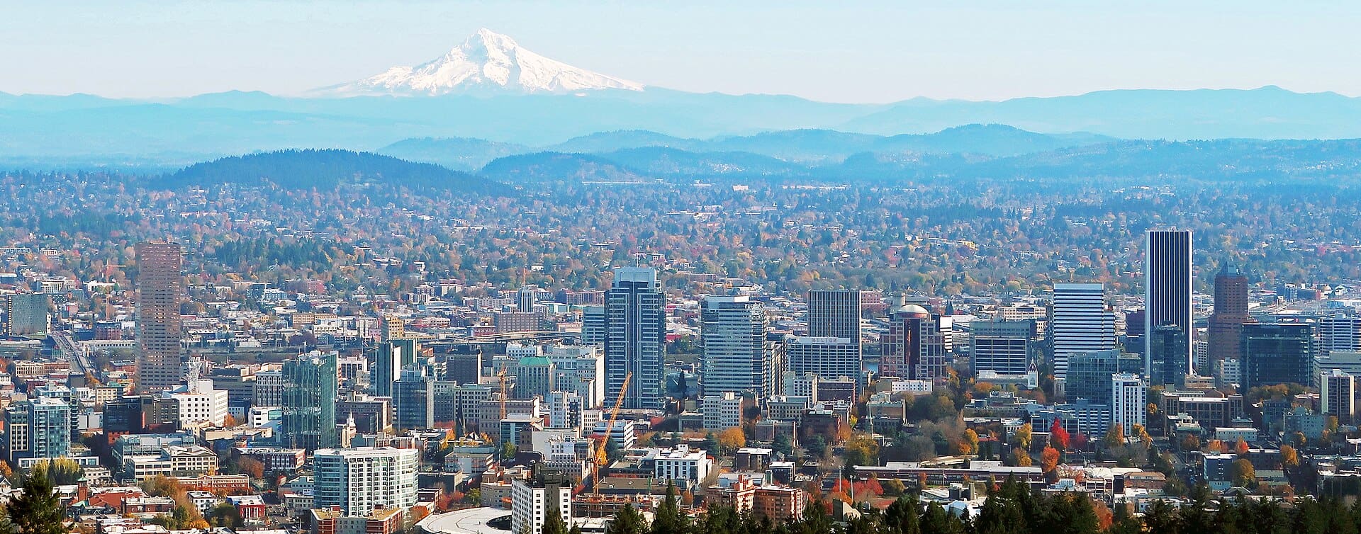 Portland cityscape with Mt. Hood in the distance. (From WikiCommons)