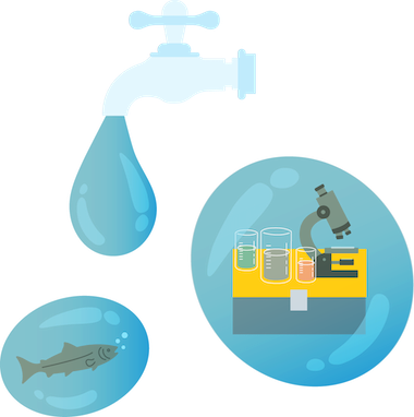 a faucet, a salmon, and a microscope with samples on top of a yellow chest