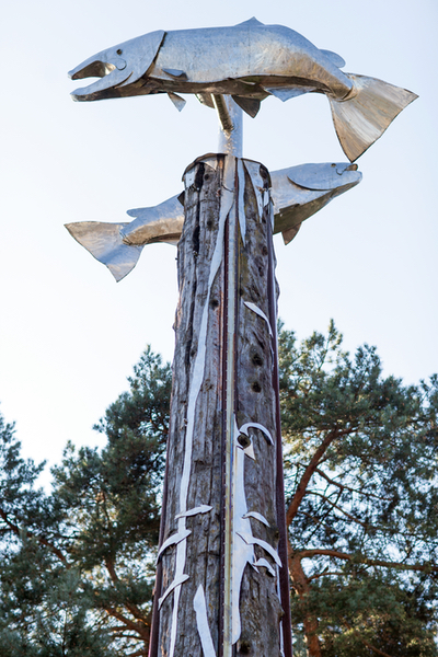The top of the Salmon Cycle Marker