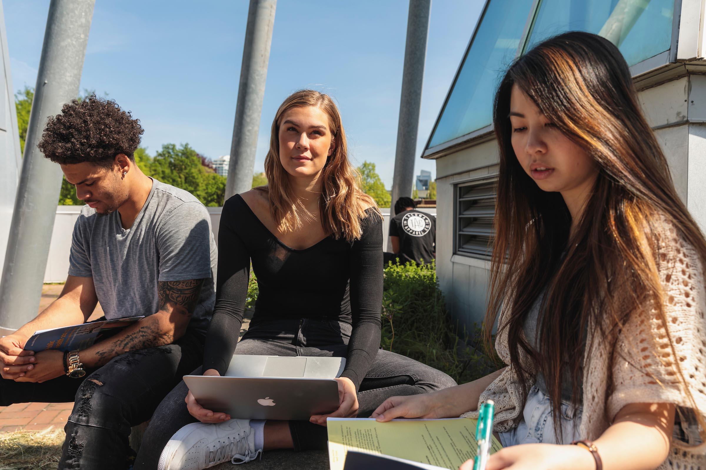Students studying outside